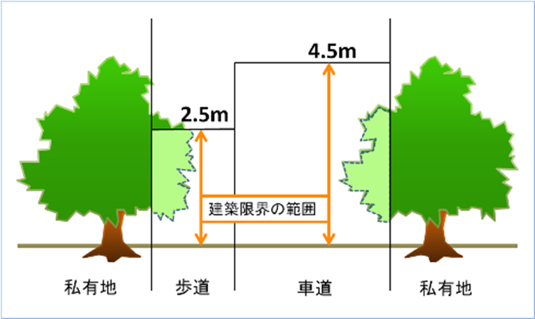 庭木の管理